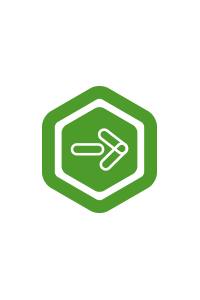 Copilot for Microsoft 365 | P1Y | Annual Copilot for Microsoft 365 | P1Y | Annual